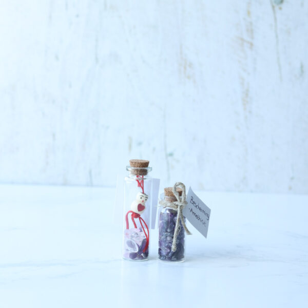 Flesje Geluk DIY Pakket