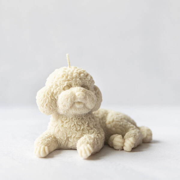 Poedel Kaars Ted